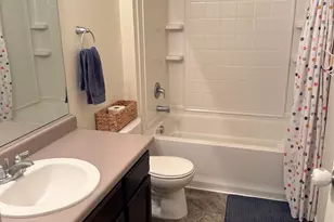 910 Pierson Ct, Windsor, CO 80550 - Photo 19