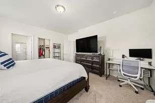 910 Pierson Ct, Windsor, CO 80550 - Photo 15