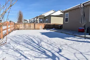 910 Pierson Ct, Windsor, CO 80550 - Photo 29