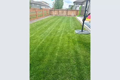 910 Pierson Court, Windsor, CO 80550 - Photo 31