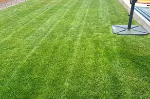 910 Pierson Ct, Windsor, CO 80550 - Photo 31