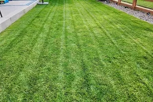 910 Pierson Ct, Windsor, CO 80550 - Photo 31