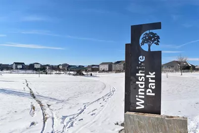 910 Pierson Court, Windsor, CO 80550 - Photo 31