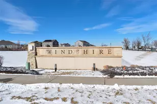 910 Pierson Ct, Windsor, CO 80550 - Photo 35