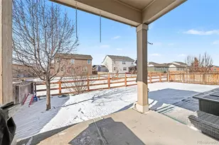 910 Pierson Ct, Windsor, CO 80550 - Photo 27