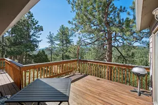 221 Juniper Ln, Bailey, CO 80421 - Photo 11