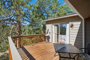221 Juniper Ln, Bailey, CO 80421 - Photo 23