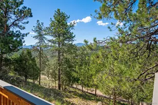221 Juniper Ln, Bailey, CO 80421 - Photo 27