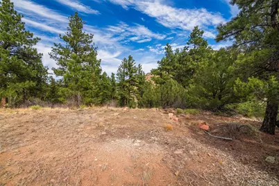 881 Vista De Aspen Road, Westcliffe, CO 81252 - Photo 11