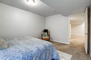 8210 S Fillmore Cir, Centennial, CO 80122 - Photo 37