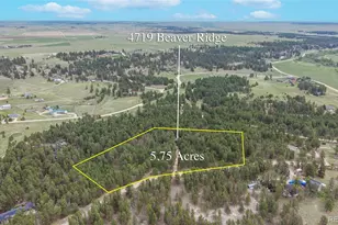 4719 Beaver-Ridge, Elbert, CO 80106 - Photo 43