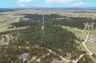 4719 Beaver-Ridge, Elbert, CO 80106 - Photo 47