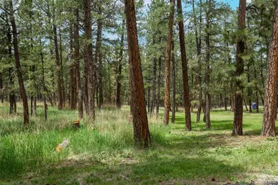 4719 Beaver Ridge, Elbert, CO 80106 - Photo 39