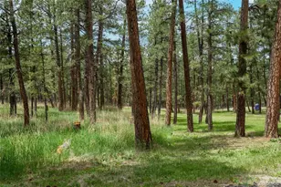 4719 Beaver-Ridge, Elbert, CO 80106 - Photo 39