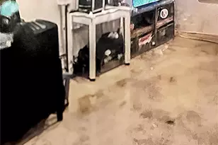 2322 Beacham Dr, Castle Rock, CO 80104 - Photo 15