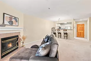 31719 Rocky Village Dr, Evergreen, CO 80439 - Photo 15