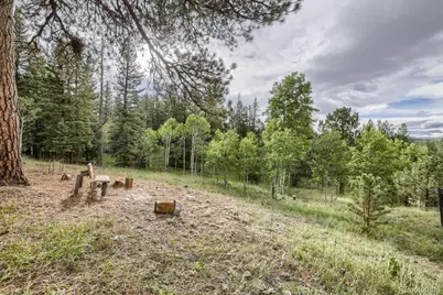 11662 S Juniper Road, Pine, CO 80470 - Photo 25