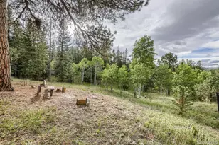 11662 S Juniper Rd, Pine, CO 80470 - Photo 25