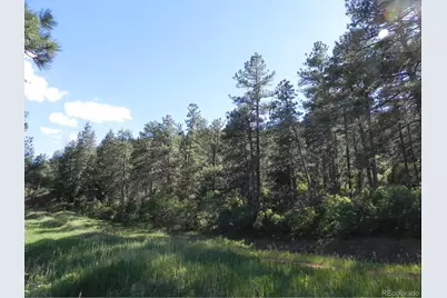 8117 Acoma Drive, Larkspur, CO 80118 - Photo 7