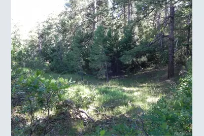 8117 Acoma Drive, Larkspur, CO 80118 - Photo 13