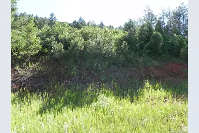 8117 Acoma Drive, Larkspur, CO 80118 - Photo 15