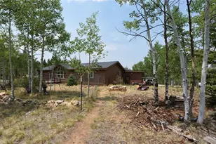 972 Wampum Ln, Como, CO 80432 - Photo 9