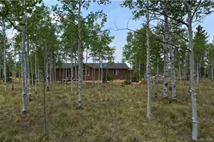 972 Wampum Ln, Como, CO 80432 - Photo 7
