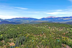 67 Hold Up St, Bailey, CO 80421 - Photo 33