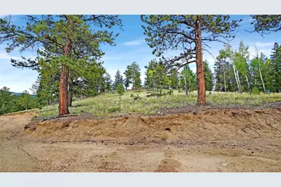 67 Holdup Street, Bailey, CO 80421 - Photo 21