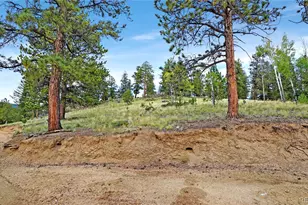 67 Hold Up St, Bailey, CO 80421 - Photo 21