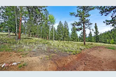 67 Holdup Street, Bailey, CO 80421 - Photo 35