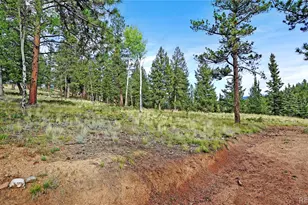 67 Hold Up St, Bailey, CO 80421 - Photo 35