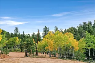 67 Hold Up St, Bailey, CO 80421 - Photo 37