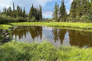 111 Lake Rd, Idaho Springs, CO 80452 - Photo 1