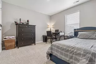 4731 Rosette St, Castle Rock, CO 80104 - Photo 25