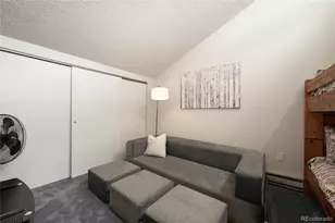 62 Co Rd 838, Fraser, CO 80442 - Photo 17