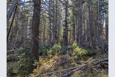 3067 Forbes Park Loop, Fort Garland, CO 81133 - Photo 9