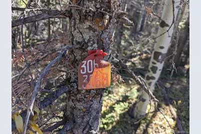 3067 Forbes Park Loop, Fort Garland, CO 81133 - Photo 7