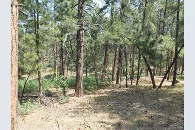 8356 Quivas Road, Larkspur, CO 80118 - Photo 13