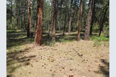 8356 Quivas Road, Larkspur, CO 80118 - Photo 35