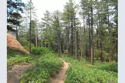 8356 Quivas Road, Larkspur, CO 80118 - Photo 27