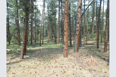 8356 Quivas Road, Larkspur, CO 80118 - Photo 29