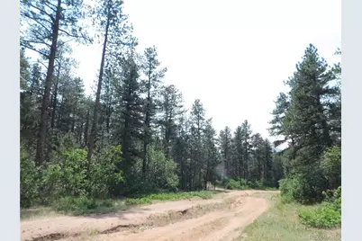 8356 Quivas Road, Larkspur, CO 80118 - Photo 7
