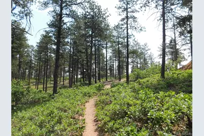 8356 Quivas Road, Larkspur, CO 80118 - Photo 15