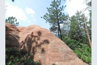 8356 Quivas Road, Larkspur, CO 80118 - Photo 21