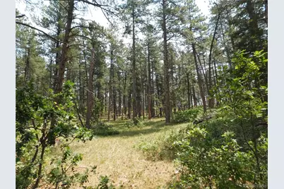 8356 Quivas Road, Larkspur, CO 80118 - Photo 43