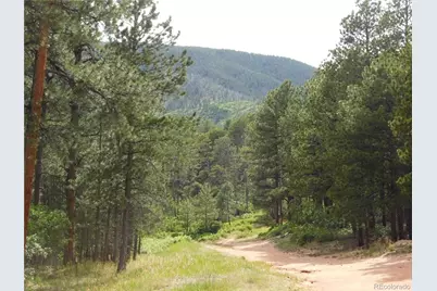 8356 Quivas Road, Larkspur, CO 80118 - Photo 3