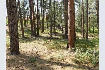 8356 Quivas Road, Larkspur, CO 80118 - Photo 37