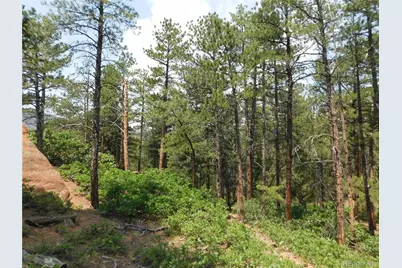 8356 Quivas Road, Larkspur, CO 80118 - Photo 19