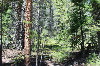 630 Fs  417.1, Black Hawk, CO 80422 - Photo 3
